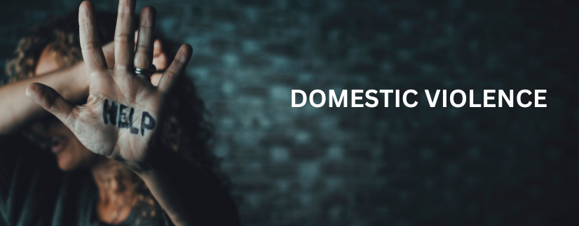 Maintenance to the Live in Partner Under the Domestic Violence Act